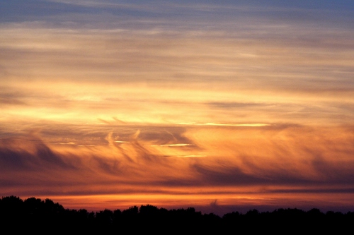Immagine con tramonto, nuvole, cielo, alberi, rosso, controluce, arancione, colori, arancio