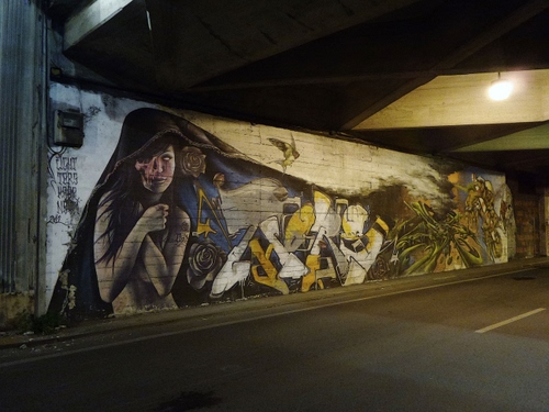 Immagine con strada, murales, donna, notte, murale, disegno, muro, luce, rose, ragazza