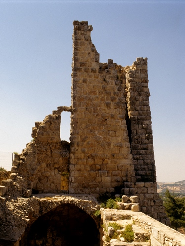 Immagine con arco, rudere, pietre, verde, cielo, muro, torre, mattoni, ruderi, rovine, muri, sassi, pietra, rovina, abbandono