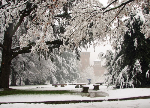Immagine con neve, panchine, alberi, parco, castello, bianco, inverno, nebbia, rami