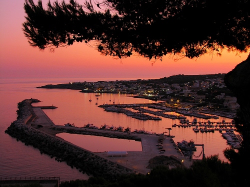 Immagine con porto, tramonto, mare, barche, albero, rosso, viola, panorama