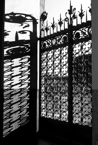 Immagine con cancello, ferro, bianconero, ombra, ombre, punte