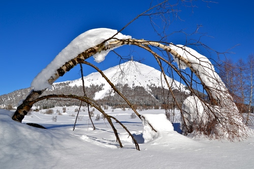 Immagine con neve, rami, inverno, montagna, albero, bianco, cielo, azzurro, arco, alberi, montagne
