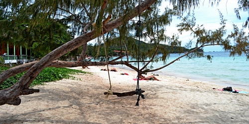 Immagine con spiaggia, mare, altalena, sabbia, albero, rami, alberi