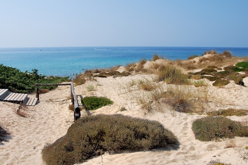 Immagine con sabbia, mare, spiaggia, cespugli, dune, cielo, orizzonte