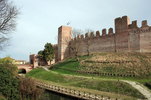 Immagine con torri, mura, castello, merli, prato, ponte, alberi, sentiero, verde, torre