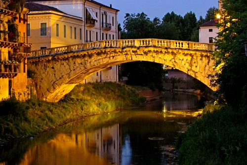Immagine con ponte, fiume, case, alberi, riflessi, finestre, luce, luci, acqua, riflesso, arco, piante, verde, cielo, balconi, notturno, balaustra, erba, parapetto