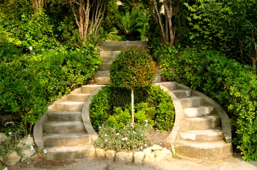 Immagine con scale, verde, piante, gradini, giardino, foglie, scala, alberi, scalini, fiori, cespugli, albero, aiuola