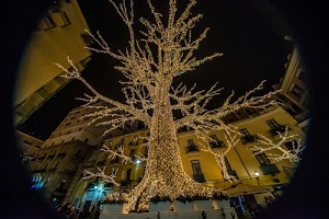 albero, luci, palazzi, rami, notte, natale, case, finestre, balconi, tronco, nero, piazza, luminarie, lampioni, notturno, cerchio