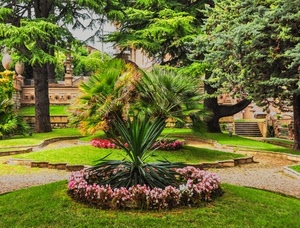 fiori, alberi, giardino, aiuole, piante, prato, aiuola, erba, verde